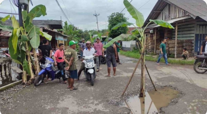KESAL TAKUNJUNG DI BANGUN WARGA DI CIAMIS TANAM POHON PISANG DI JALAN
