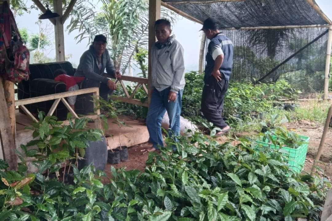 Poktan Kopi Mekarsari Gelar Diskusi Susun Rencana Strategis Kembangkan Usaha yang Terarah Berkelanjutan
